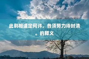 此别相逢定何许，各须努力待时清。的释义