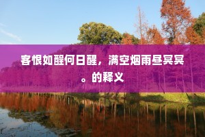 客恨如酲何日醒，满空烟雨昼冥冥。的释义