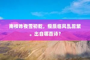 南枝昨夜雪初乾，瘦质临风乱蕊繁。出自哪首诗？