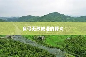 良弓无改成语的释义