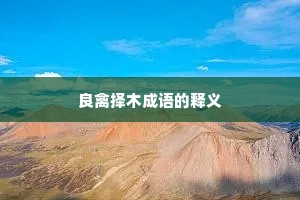 良禽择木成语的释义