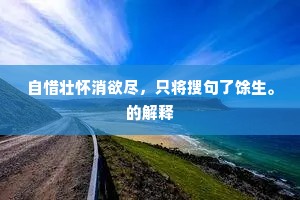 自惜壮怀消欲尽，只将搜句了馀生。的解释