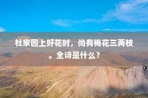 杜家园上好花时，尚有梅花三两枝。全诗是什么？
