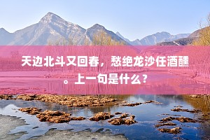 天边北斗又回春，愁绝龙沙任酒醺。上一句是什么？