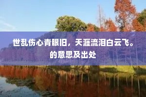世乱伤心青眼旧，天涯流泪白云飞。的意思及出处