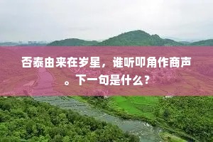否泰由来在岁星，谁听叩角作商声。下一句是什么？
