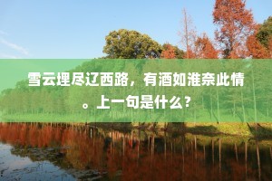 雪云埋尽辽西路，有酒如淮奈此情。上一句是什么？