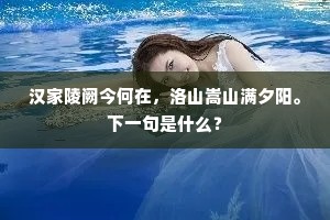汉家陵阙今何在，洛山嵩山满夕阳。下一句是什么？