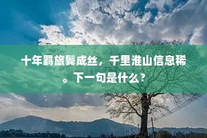 十年羁旅鬓成丝，千里淮山信息稀。下一句是什么？