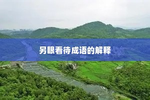另眼看待成语的解释