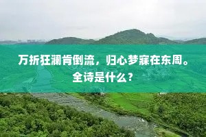 万折狂澜肯倒流，归心梦寐在东周。全诗是什么？
