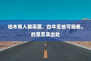 枯木有人能采菌，白牛无地可施牵。的意思及出处