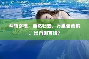 斗转参横，翩然归去，万里骑黄鹄。出自哪首诗？