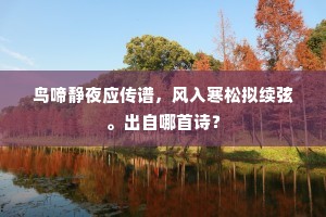 鸟啼静夜应传谱，风入寒松拟续弦。出自哪首诗？
