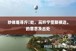 妙体难寻斤斲处，高吟宁堕膝横边。的意思及出处