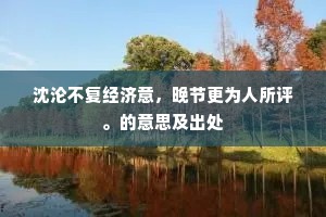 沈沦不复经济意，晚节更为人所评。的意思及出处