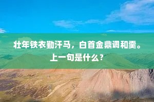 壮年铁衣勤汗马，白首金鼎调和羹。上一句是什么？