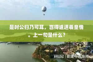 是时公归乃可耳，岂得遽适羲皇情。上一句是什么？