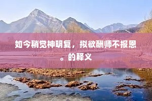 如今稍觉神明复，拟欲酬师不报恩。的释义