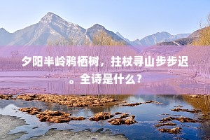 夕阳半岭鸦栖树，拄杖寻山步步迟。全诗是什么？