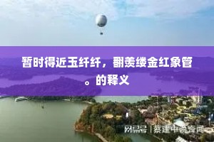 暂时得近玉纤纤，翻羡缕金红象管。的释义