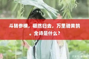 斗转参横，翩然归去，万里骑黄鹄。全诗是什么？