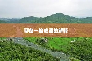 聊备一格成语的解释