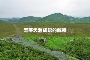流落天涯成语的解释