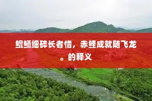 鲲鲕细碎长者惜，赤鲤成就随飞龙。的释义