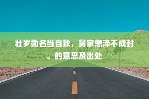 壮岁勋名当自致，舅家恩泽不成封。的意思及出处