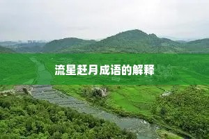 流星赶月成语的解释