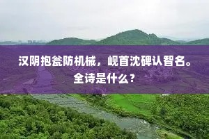 汉阴抱瓮防机械，岘首沈碑认智名。全诗是什么？