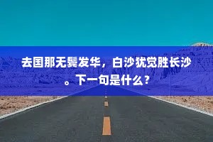 去国那无鬓发华，白沙犹觉胜长沙。下一句是什么？