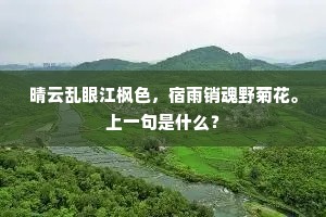 晴云乱眼江枫色，宿雨销魂野菊花。上一句是什么？
