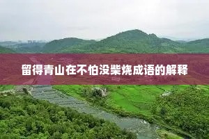 留得青山在不怕没柴烧成语的解释