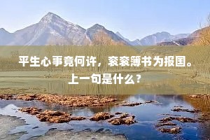 平生心事竟何许，衮衮簿书为报国。上一句是什么？