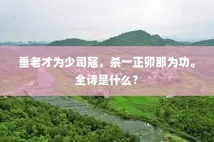 垂老才为少司寇，杀一正卯那为功。全诗是什么？