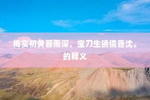 梅实初黄暮雨深，宝刀生锈镜昏沈。的释义