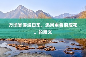 万顷寒涛浸日车，迅风重叠浪成花。的释义