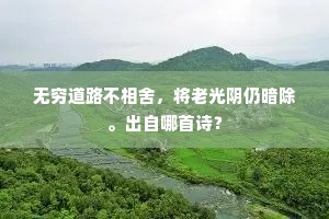 无穷道路不相舍，将老光阴仍暗除。出自哪首诗？