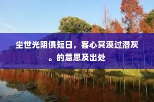 尘世光阴俱短日，客心冥漠过潜灰。的意思及出处