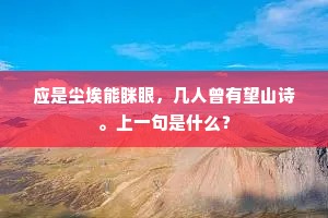 应是尘埃能眯眼，几人曾有望山诗。上一句是什么？