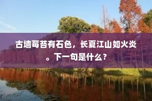 古墙莓苔有石色，长夏江山如火炎。下一句是什么？