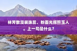 林芳散漫装珠蕊，粉面光辉照玉人。上一句是什么？