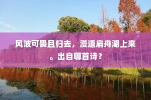 风波可畏且归去，漫道扁舟湖上来。出自哪首诗？