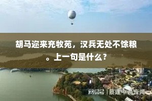 胡马迩来充牧苑，汉兵无处不馀粮。上一句是什么？