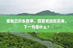 垂髫已识东西事，回首宛如前后身。下一句是什么？