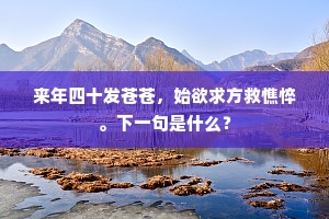 来年四十发苍苍，始欲求方救憔悴。下一句是什么？