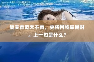 桑麦青乾天不雨，更将何物阜民财。上一句是什么？