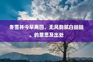 冬雪并今早两回，无风韵腻白皑皑。的意思及出处